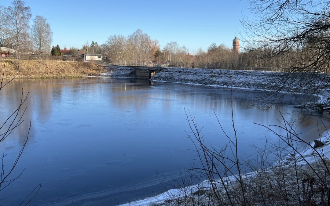 Hagbydammen, Nora. Foto: Susann Rickan